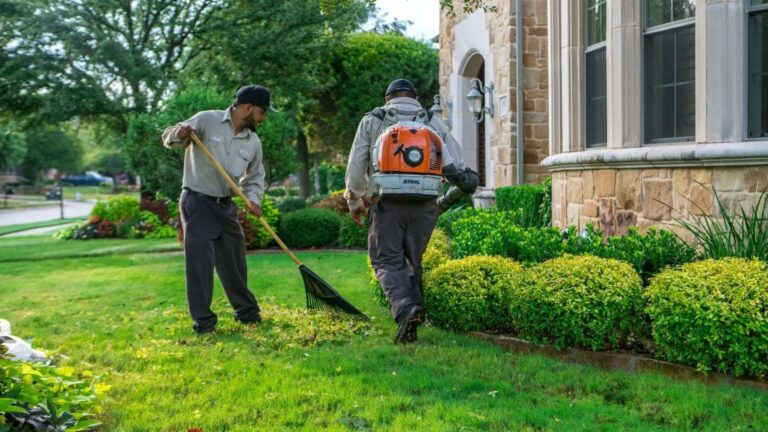 Yard Cleanups Service