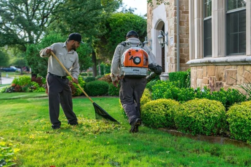 Expert Yard Cleanups Service for Every Season