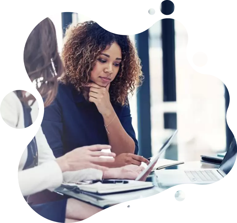 MLM Software Provider in India