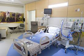 Looking for a hospital bed on rent in Mumbai? Ayushya Healthcare provides high-quality hospital beds along with home ICU setups, professional medical care, and advanced equipment, ensuring your loved ones receive hospital-level care at home.