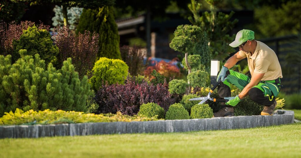 edge to edge landscaping