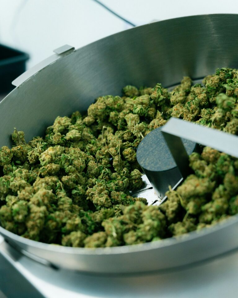 evan-strock-rC9ZRf8nOLU-unsplash