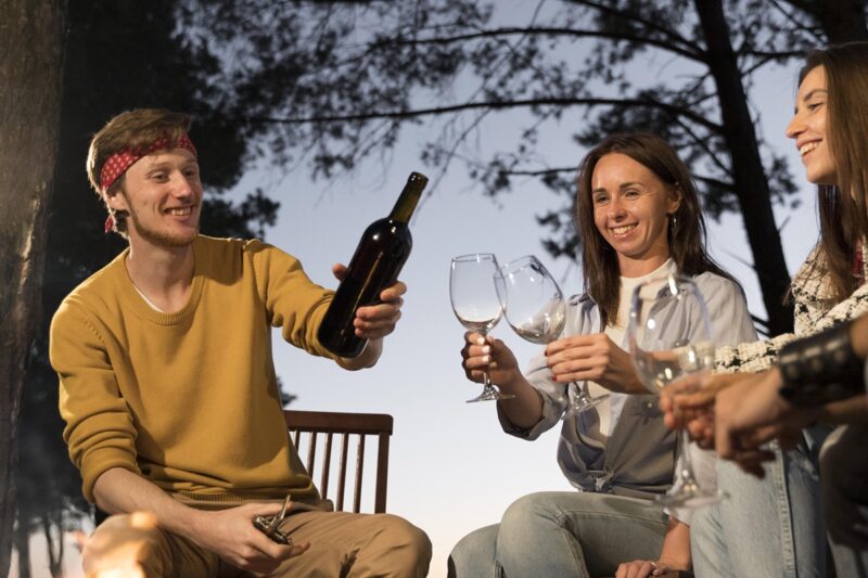 Discover the Best Wine Tours: Tastings, Wineries & Scenic Vineyards