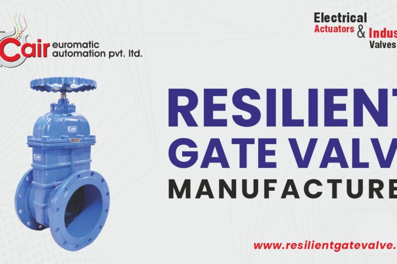 High-Performance Sluice Valves from Trusted Indian Manufacturers