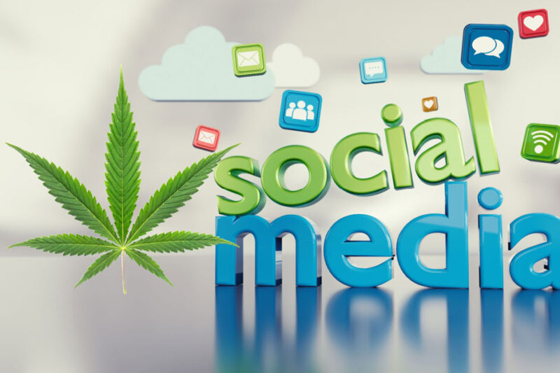 Cannabis Social Media: How to Grow Your Cannabis Brand Online