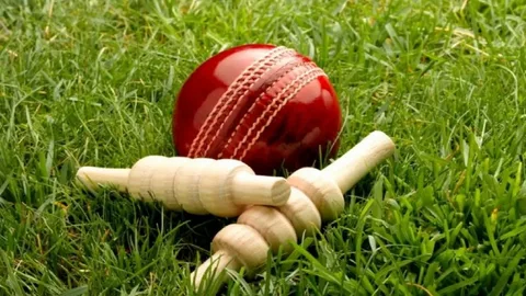 The Ultimate 2025 Guide to Cricket 07 Mods and Patches: Rebirth of a Legend