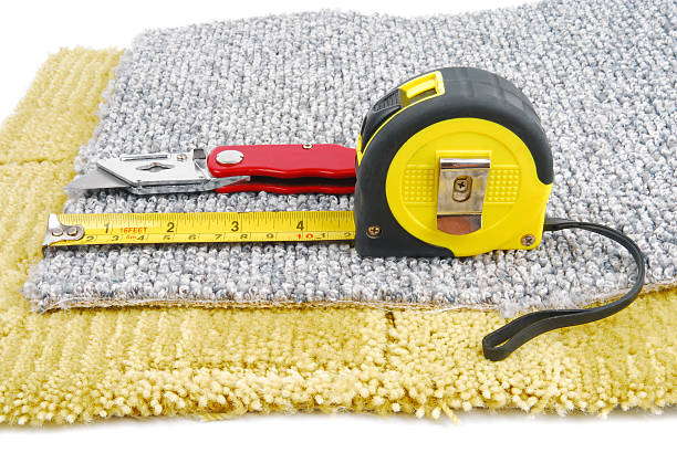 Professional Carpet Repair Expert