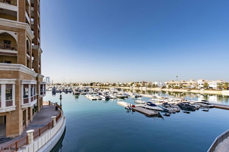 pexels-nelemson-29212678