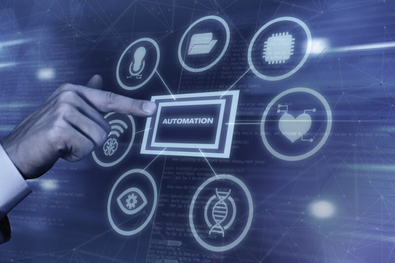 Web Portals and Web Designing: Building Smarter Digital Experiences for Modern Businesses