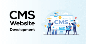 Cms Development Dubai