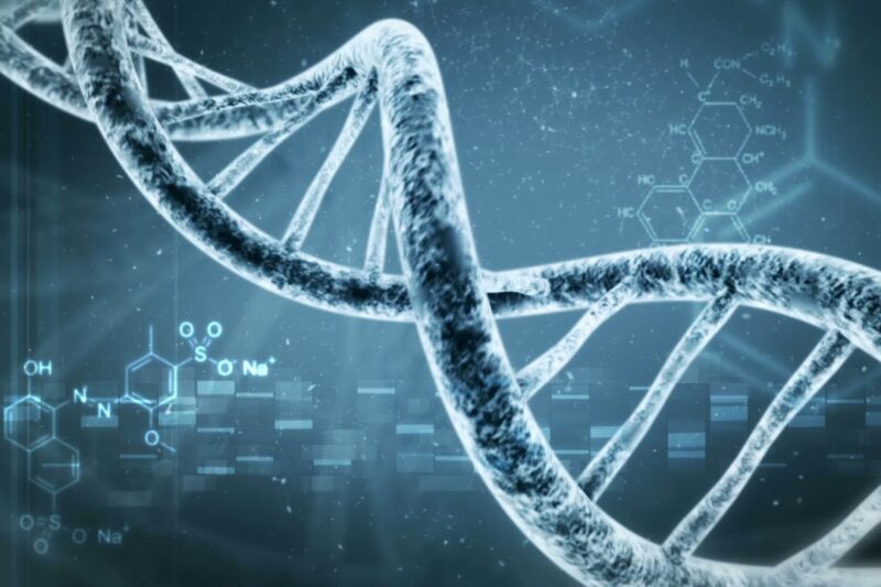 How Your DNA Affects Medication Response