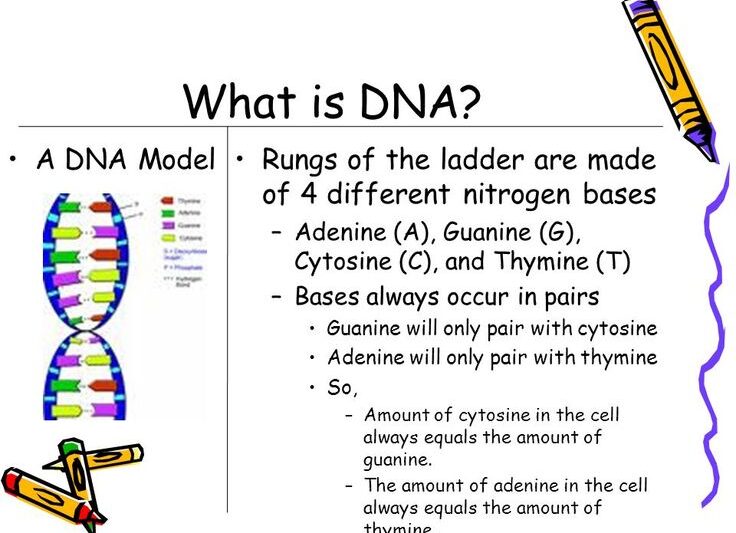 Can Management Be Taught, or Is It in Your DNA?