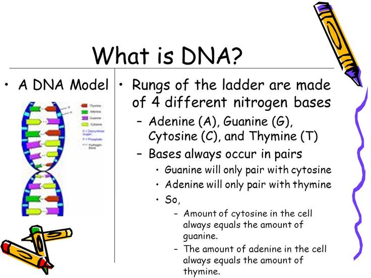 Can Management Be Taught, or Is It in Your DNA?