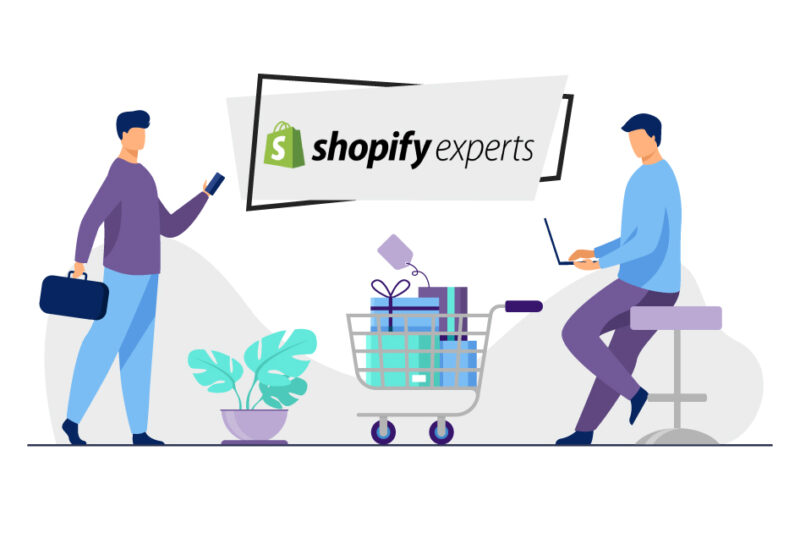 Professional Shopify Consulting Services for E-Commerce Growth