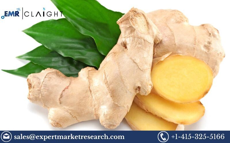 Ginger Market Size, Share, Trends and Report – 2034