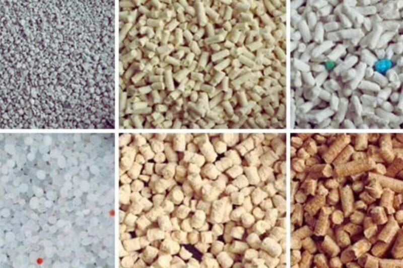 Cat Litter Kinds Which is Right for Your Cat