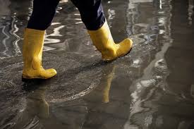 What Are the Most Reliable Flood Repair Services in Ottawa?