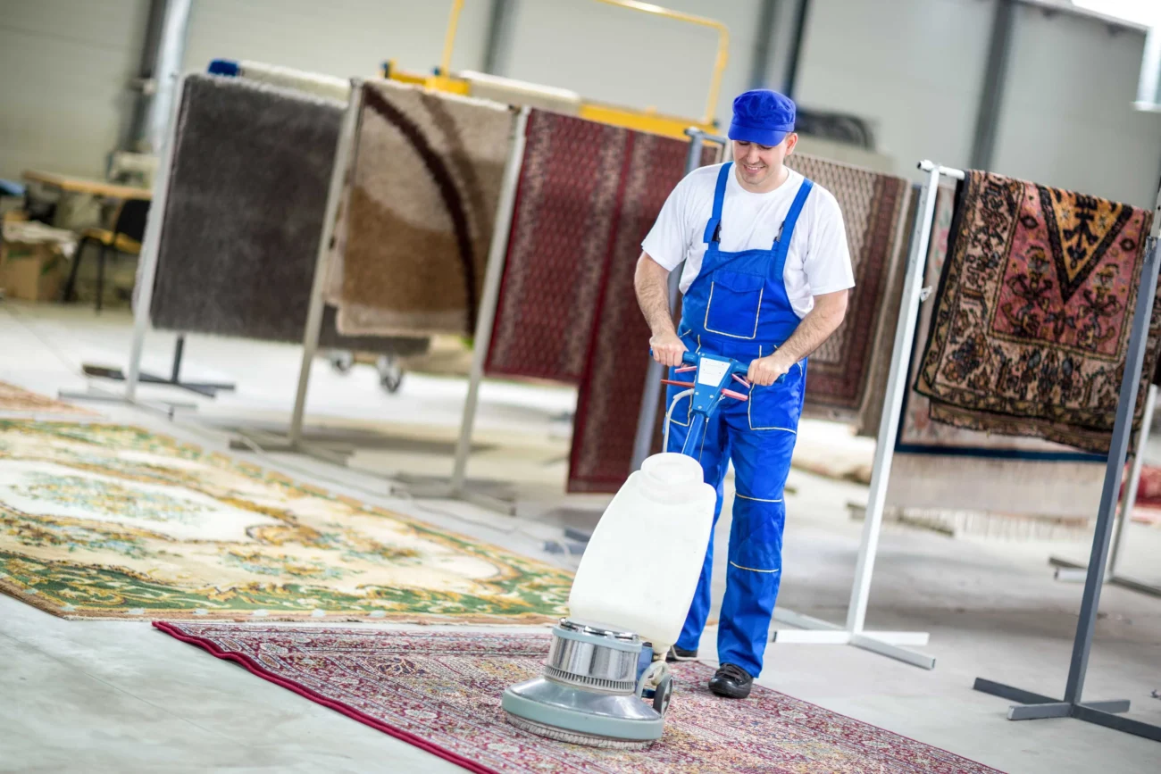 Area Rug Cleaning Services