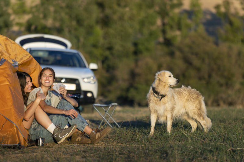 Why Pet Friendly RV Parks Are Perfect for Family Adventures