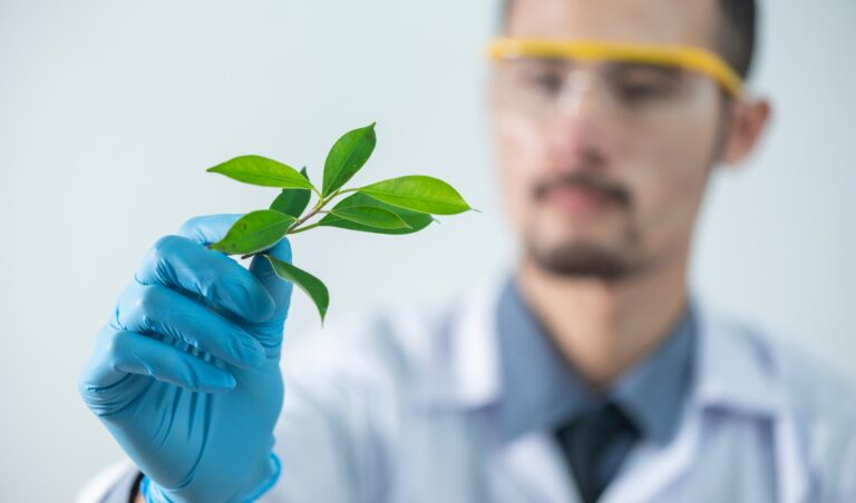 pexels-chokniti-khongchum-2280551