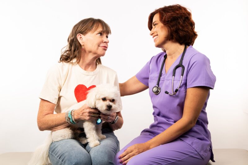 Cremation or Burial? Making the Right Choice for Your Pet