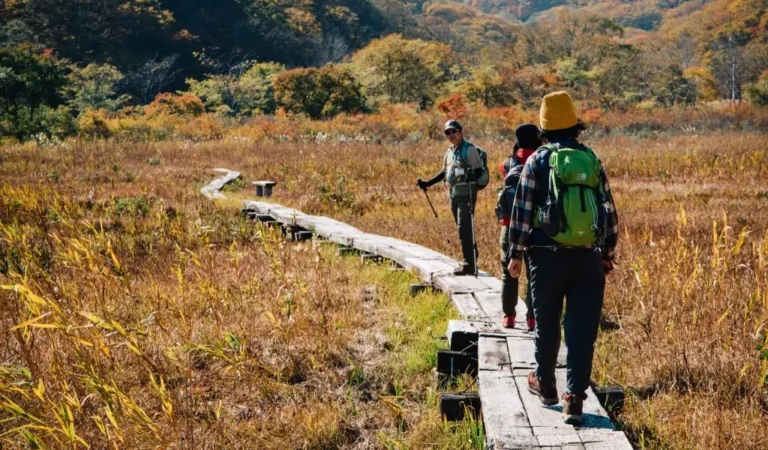 sekushiyon2qiu-nozhao-noyuan-shi-yuan-min_gq0d5e