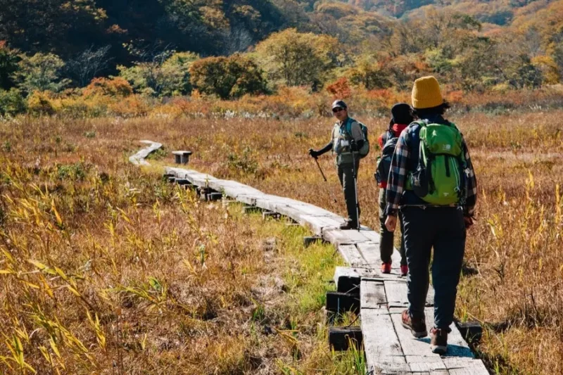 Why the Shin-etsu Trail Is Japan’s Hidden Hiking Gem