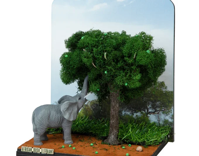 How Pet Preventive Care and Creative Craft Kits Bring Wellness and Joy Into Everyday Life