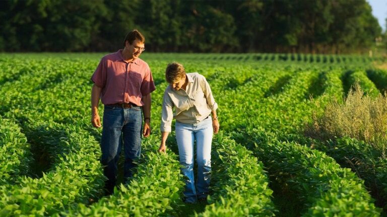 6c46a13f0c122b693b51b44a2b9e249b (1)