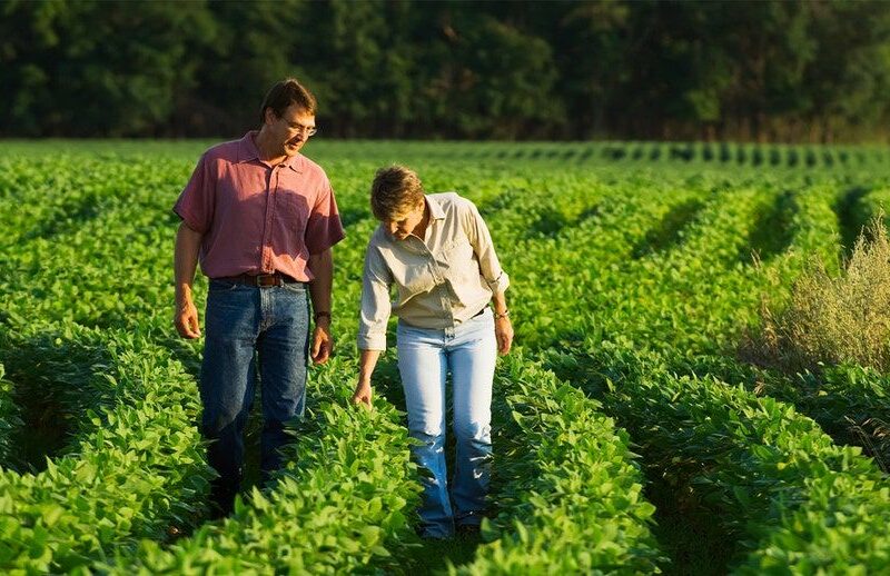 The Vital Role of Farm Fuel Delivery and Industrial Oil Suppliers in UK Agriculture