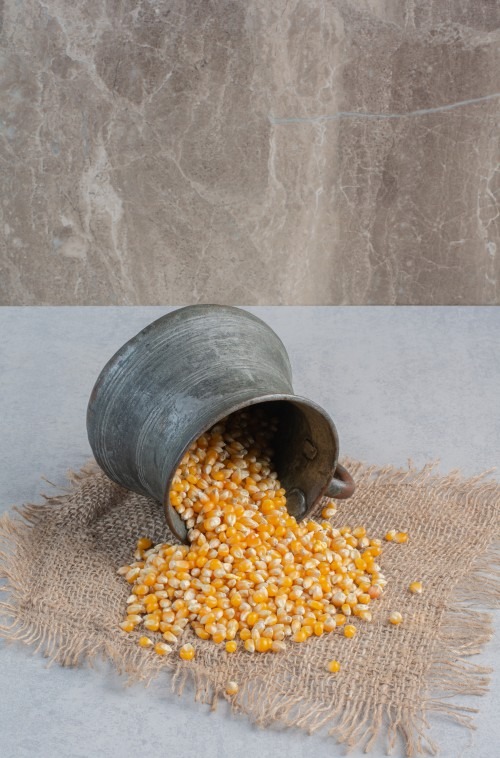 Maize and corn derivatives supplier India