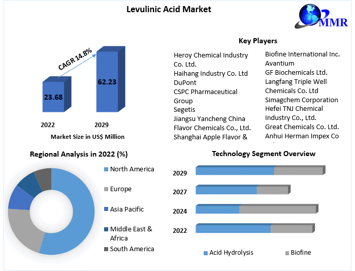 Levulinic Acid Market Trends, Forecast Analysis, and Growth Drivers (2022-2029)