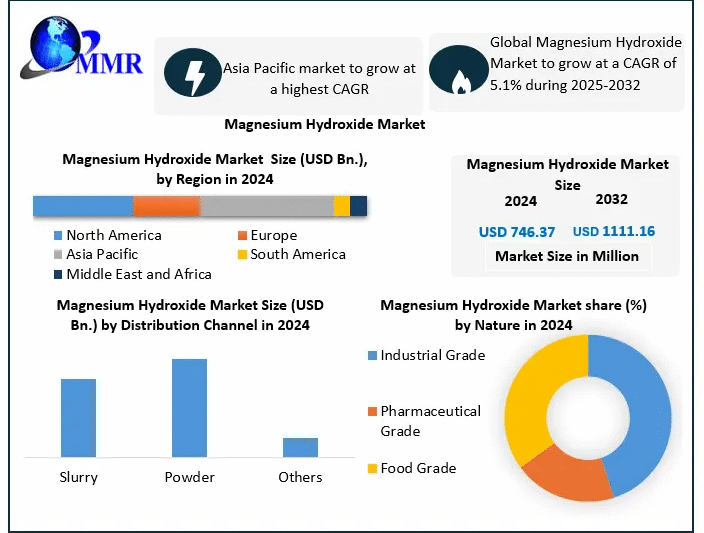 Magnesium Hydroxide Market Insights, Share, and Expansion Opportunities (2025-2032)