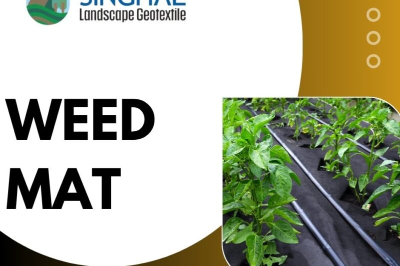 The​‍​‌‍​‍‌​‍​‌‍​‍‌ Fault Lines: Weed Mat Installation Mistakes You Should Avoid