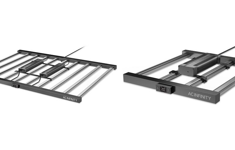 Providing the Ideal Amount of Light for Your Plants