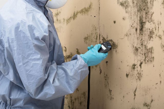 Comprehensive Mold Testing Nassau County NY and Home Inspections