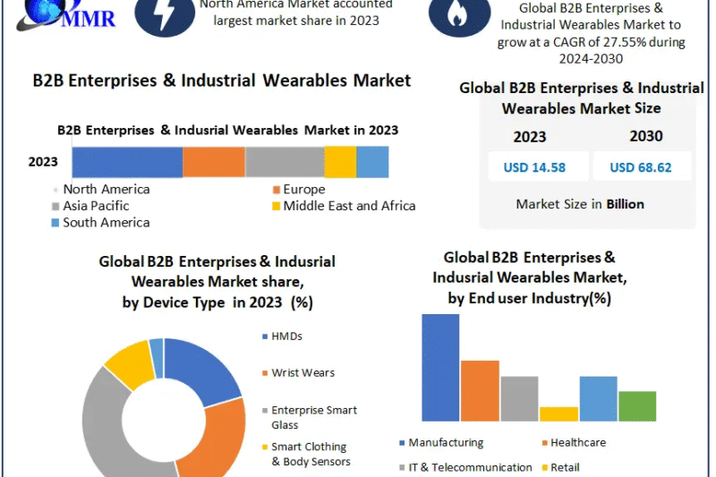 B2B Enterprises & Industrial Wearables Market Size, Forecast, and Emerging Opportunities (2024-2030)
