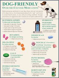Effective Pain Medicine for Dogs: What You Need to Know