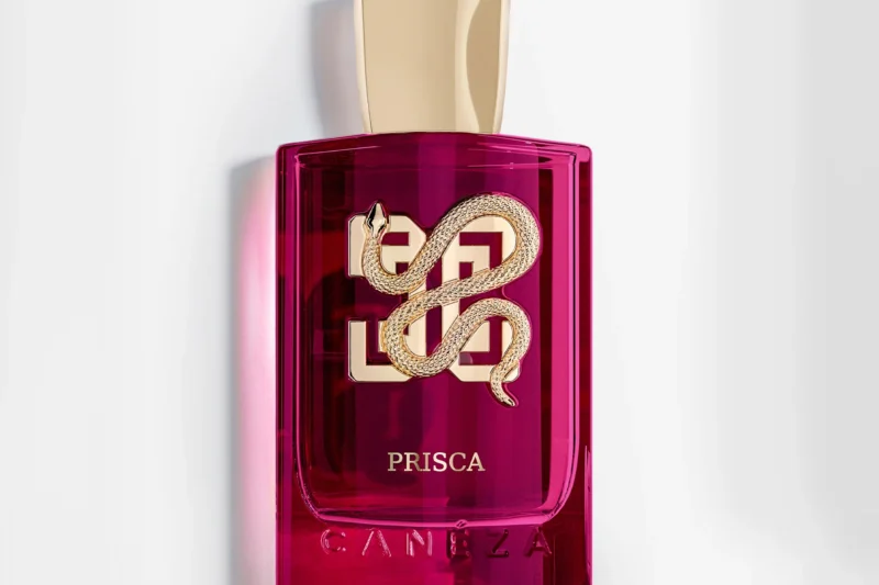 A Timeless Guide To Best Arabic Perfumes in UAE Culture