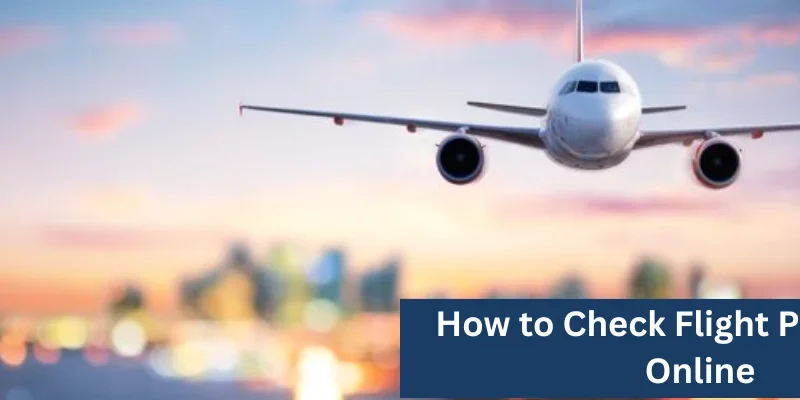 Qatar Airways Flight Status PNR: How to Check Your Flight in 2026