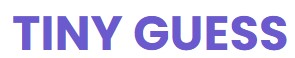 Tiny Guess