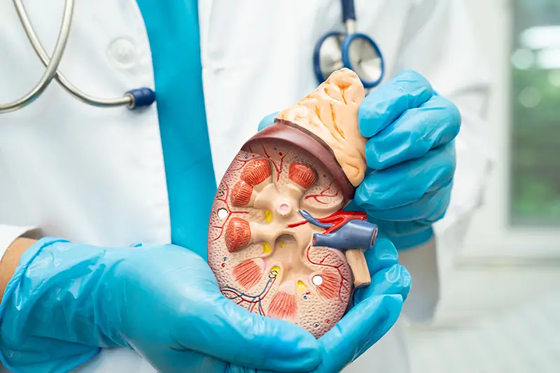 What Does Hormone Replacement Therapy ICD 10 Mean and Why Is It Important in Modern Women’s Health Care?