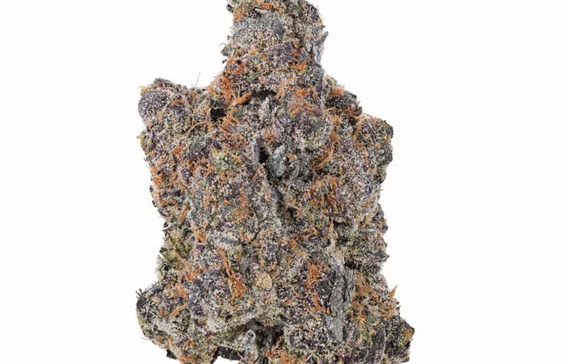 Mail Order Canna for Beginners: A Step-by-Step Introduction