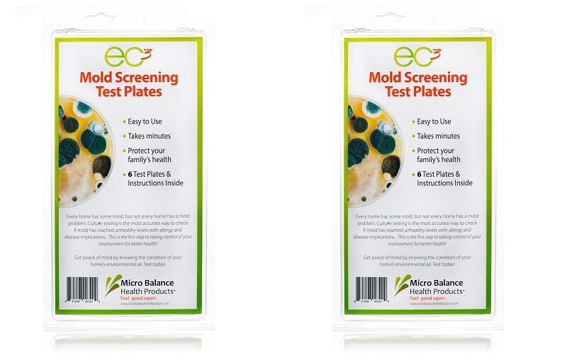 Mold Detection Kit Basics for Those Strange Cupboard Spots and Basement Corners