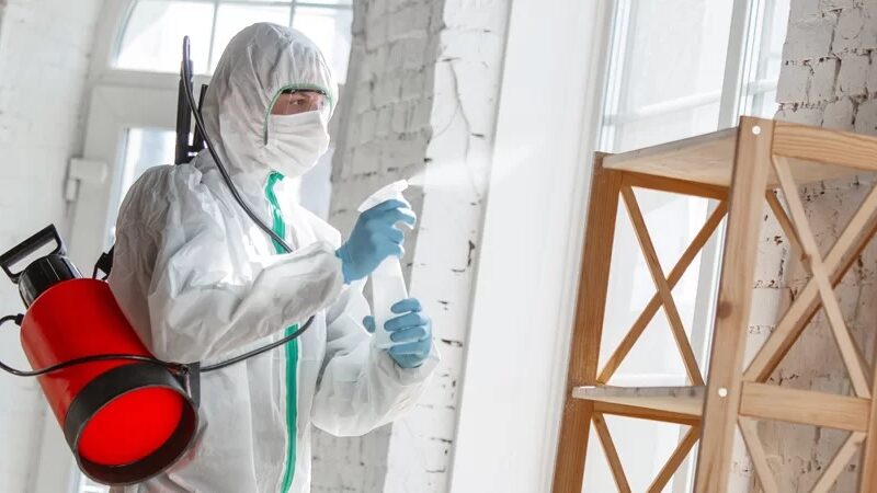 How Does Abbotsford Commercial Pest Control Protect Your Workplace?