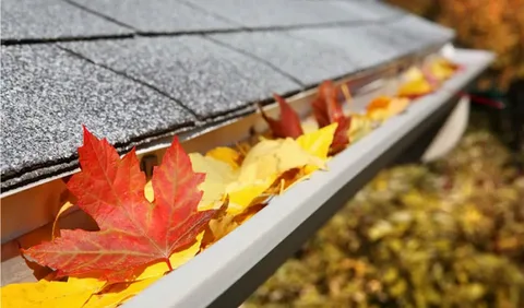 Gutter Cleaning Sunbury