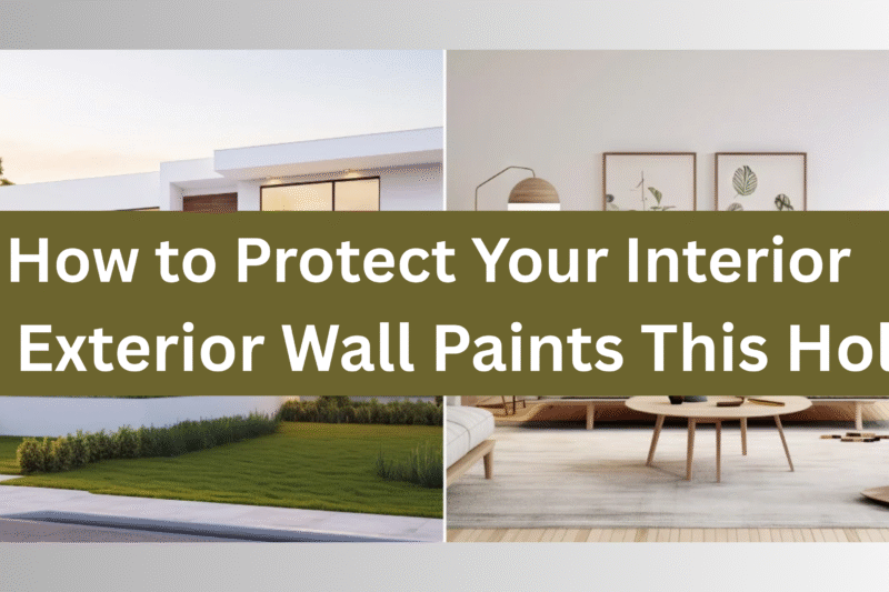 How to Protect Your Interior & Exterior Wall Paints This Holi