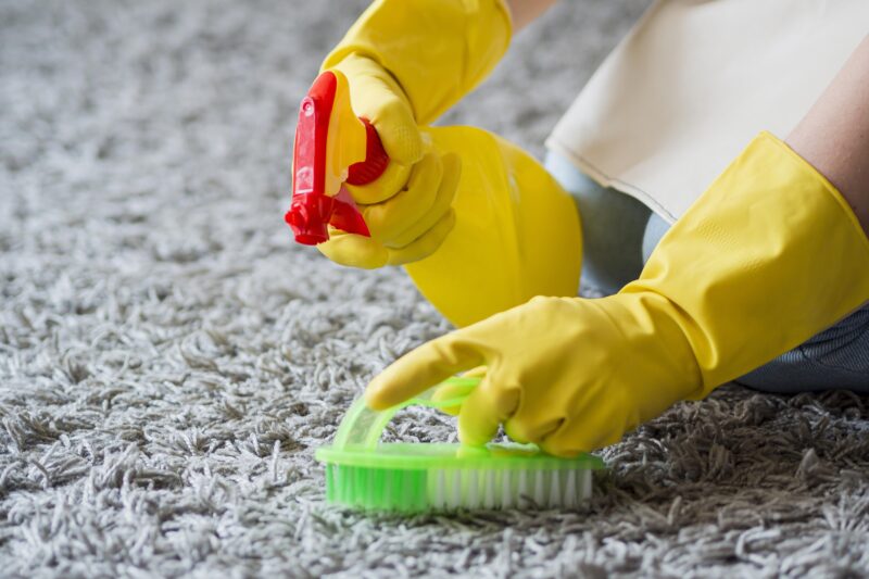 Why Professional Carpet Cleaning in Melbourne Is Essential for a Healthier Home