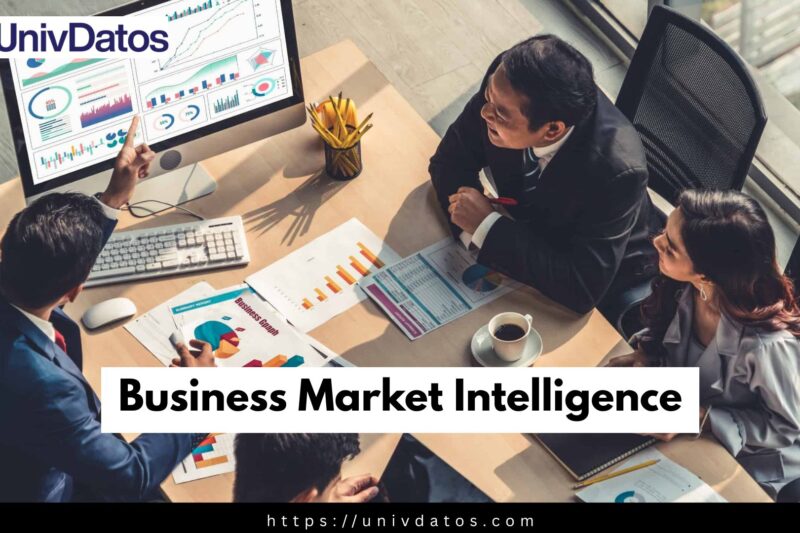 Turning Data Into Decisions With Business Market Intelligence
