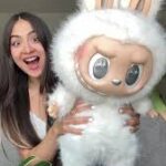 Exploring the Labubu Online Store Experience